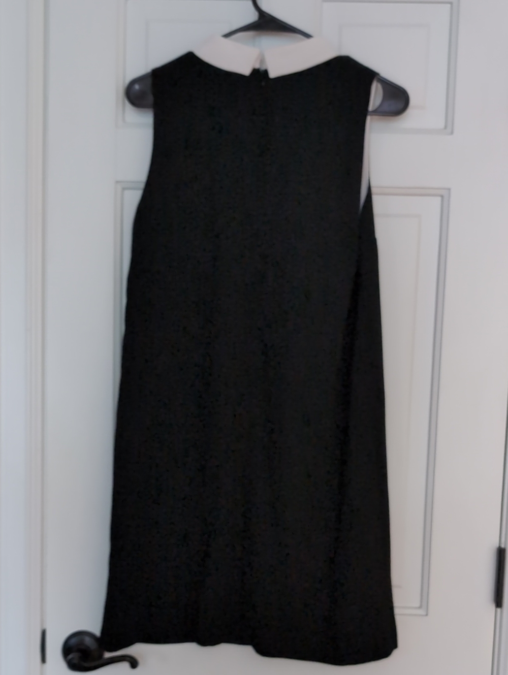CeCe Black Mini Dress with White Peter Pan Collar - Picture 4 of 6